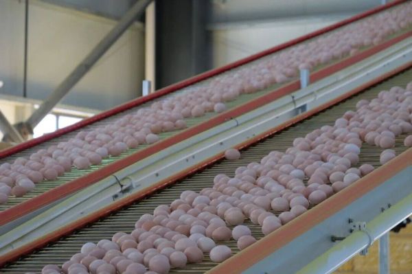 微信图片_2026-01-07_173159_957