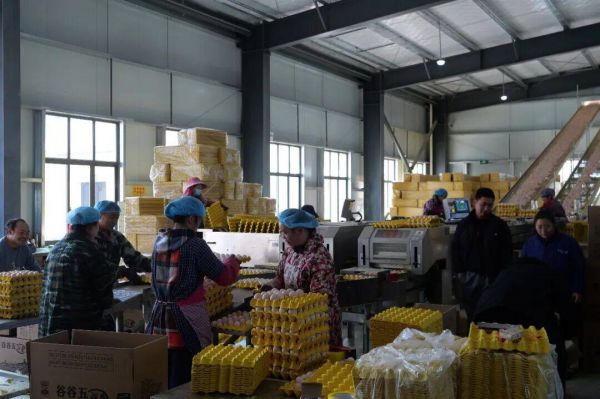 微信图片_2026-01-07_173221_419