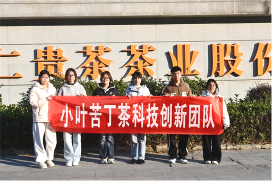 铜仁职业技术大学小叶苦丁茶科技创新团队赴贵茶公司开展专项调研
