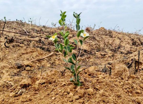 微信图片_2026-01-10_192320_633