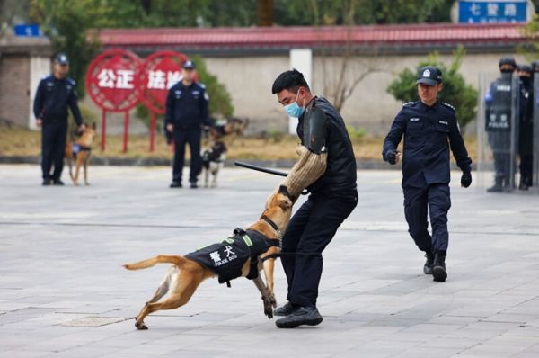 微信图片_2026-01-10_203043_272