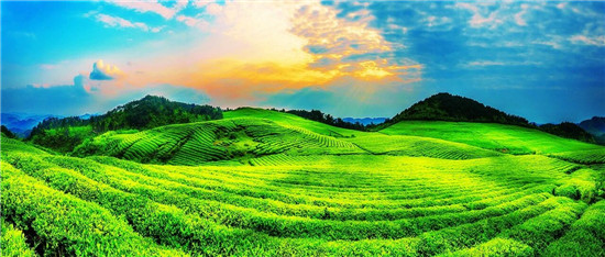 微信图片_2026-01-12_141826_211