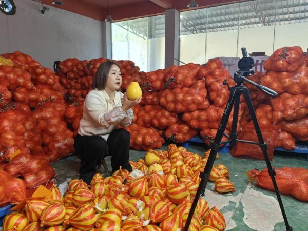 微信图片_2026-01-13_161950_127