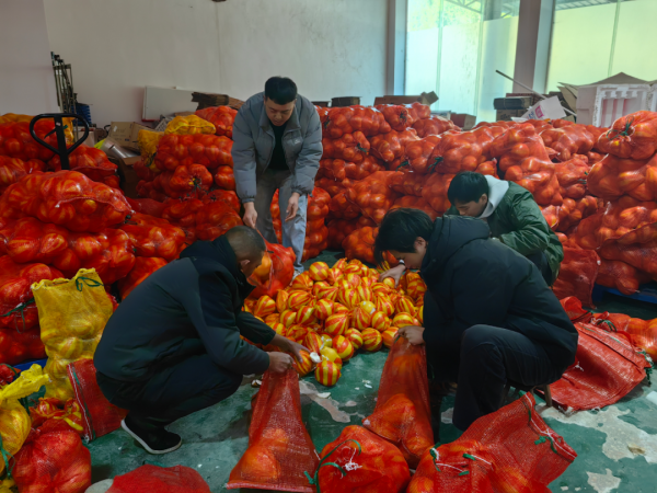 微信图片_2026-01-13_162002_857