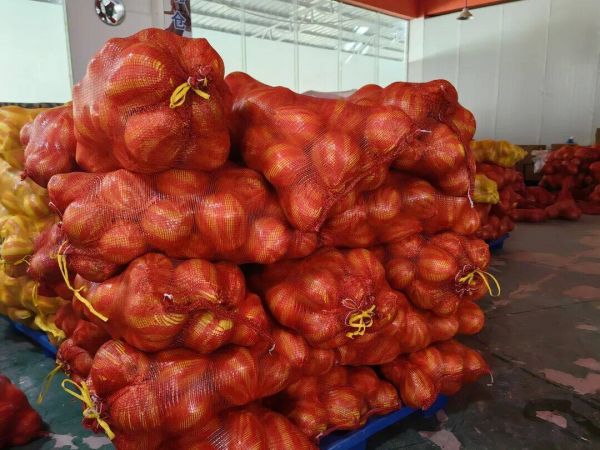 微信图片_2026-01-13_162020_200