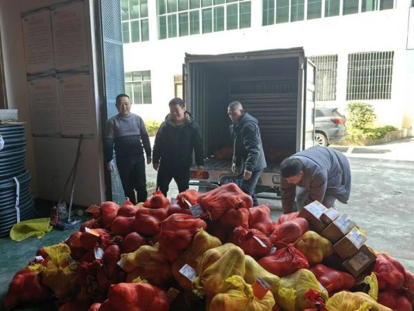 微信图片_2026-01-13_162028_925