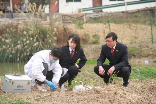 江口冷水鱼干干净净入市场