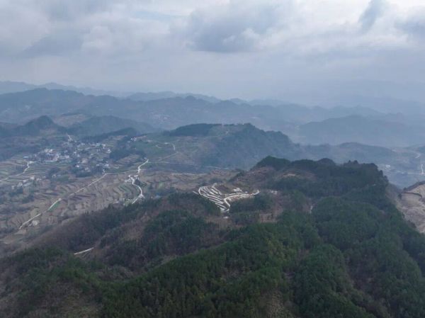 微信图片_2026-01-13_170509_093