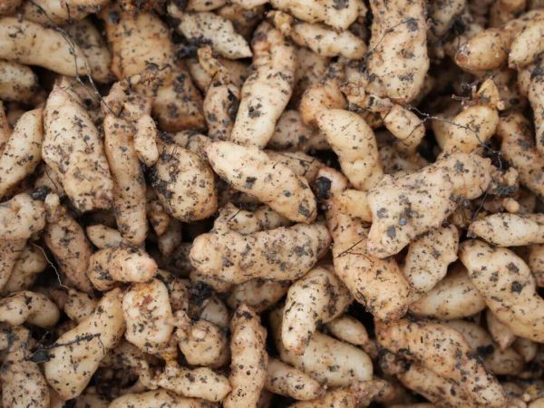 微信图片_2026-01-13_170537_059