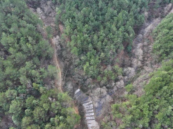 微信图片_2026-01-13_170543_965