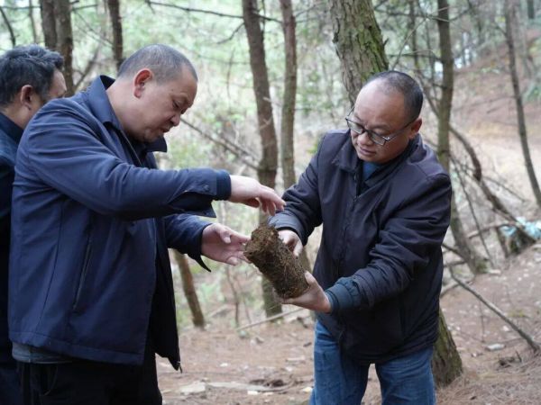 微信图片_2026-01-13_170552_384