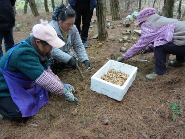 微信图片_2026-01-13_170600_298