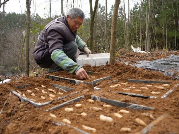 微信图片_2026-01-13_170607_574