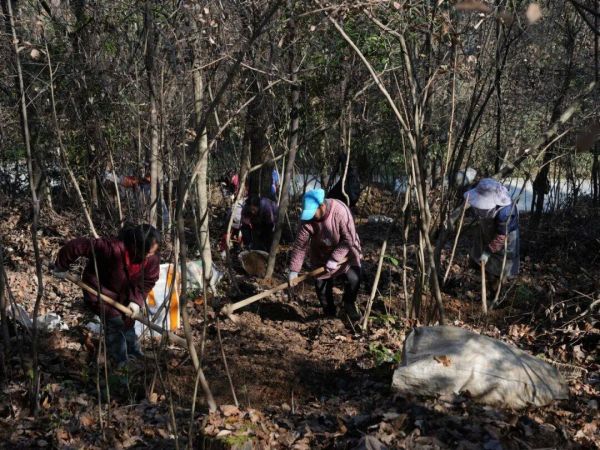 微信图片_2026-01-13_170622_864