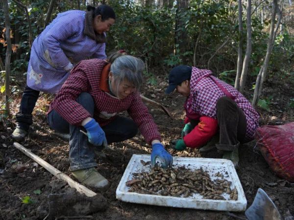 微信图片_2026-01-13_170630_171