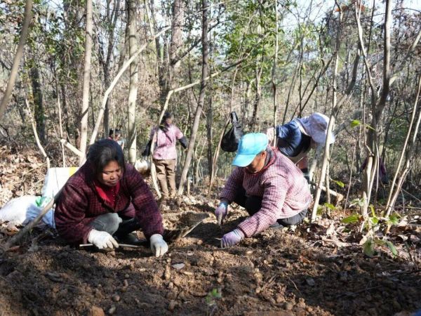 微信图片_2026-01-13_170637_422