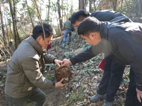 微信图片_2026-01-13_170646_418