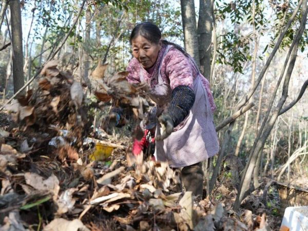 微信图片_2026-01-13_170700_731