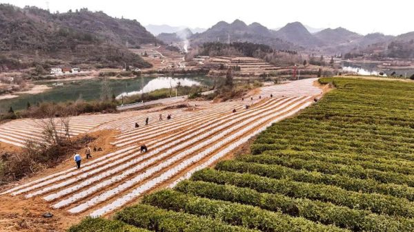 微信图片_2026-01-13_172419_239