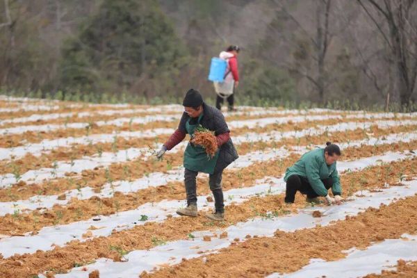 微信图片_2026-01-13_172447_401