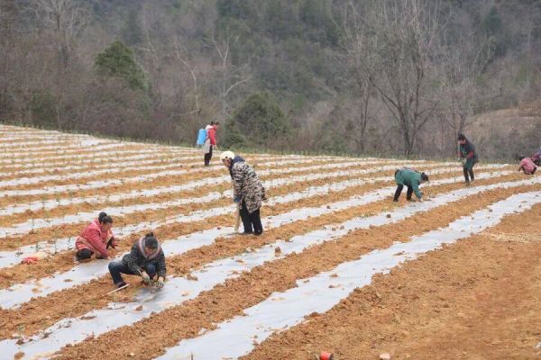 微信图片_2026-01-13_172439_932