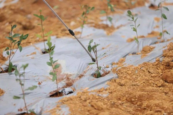 微信图片_2026-01-13_172454_838