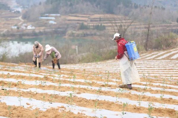 微信图片_2026-01-13_172504_546