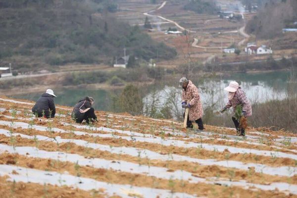 微信图片_2026-01-13_172514_147