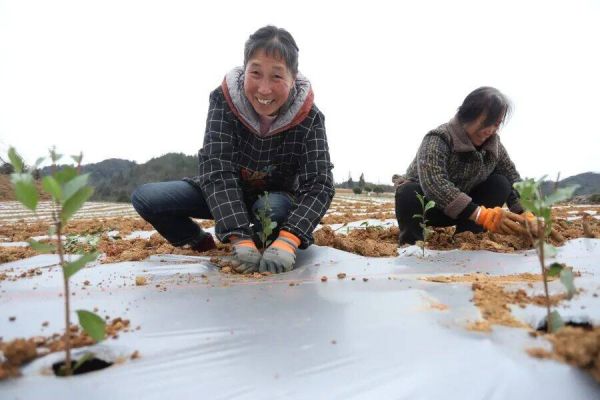 微信图片_2026-01-13_172521_693