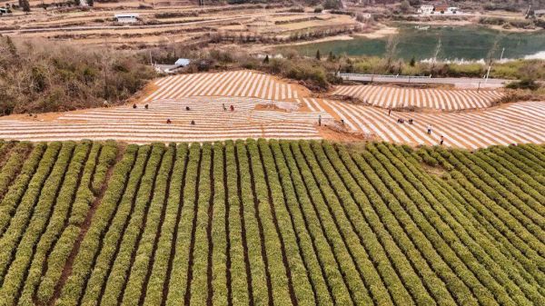 微信图片_2026-01-13_172530_954