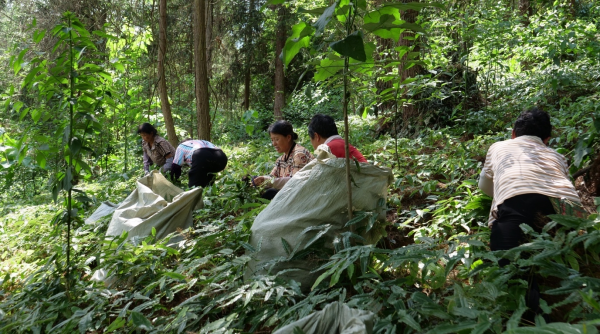 工行铜仁分行：奏响“破局”强音 澎湃金融动能助黔东