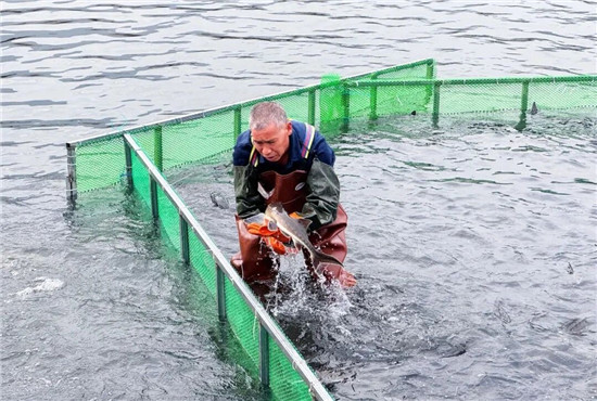 6.5亿元！铜仁冷水鱼产业规模持续领跑全省