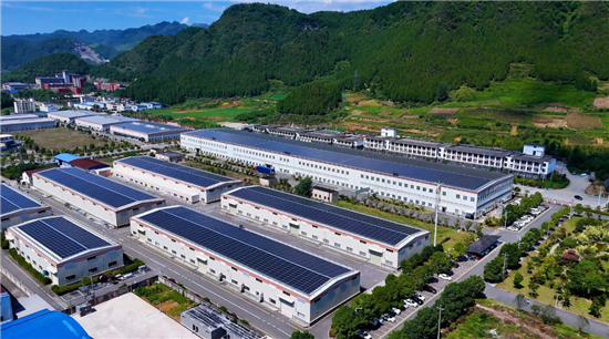 2026开门红！贵茶32吨欧标抹茶出口瑞典