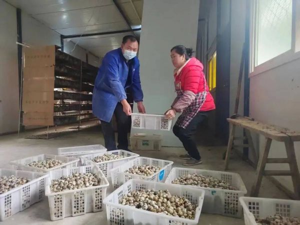 微信图片_2026-01-16_203912_754