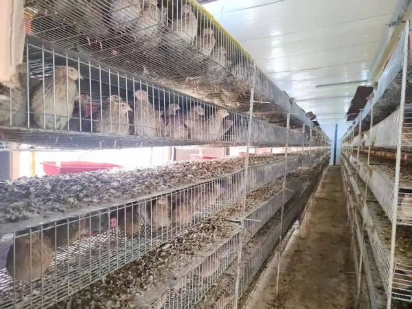 微信图片_2026-01-16_203921_512