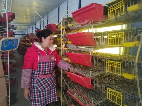 微信图片_2026-01-16_203929_064