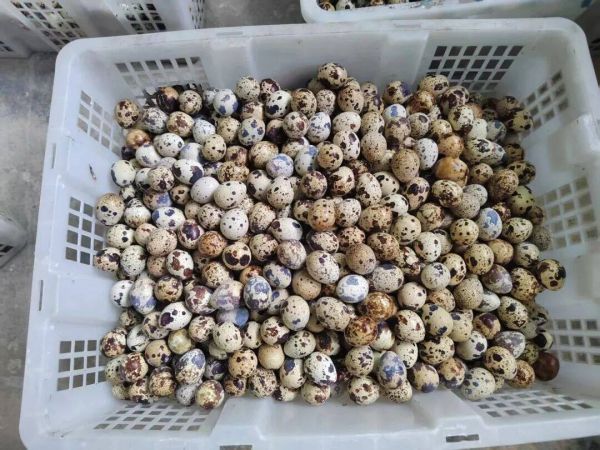 微信图片_2026-01-16_203936_021