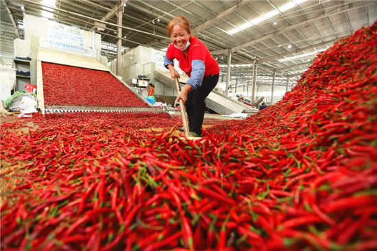 微信图片_2026-01-18_181622_080