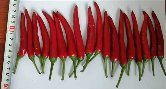 微信图片_2026-01-18_181630_999