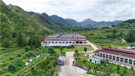 微信图片_2026-01-18_181641_862