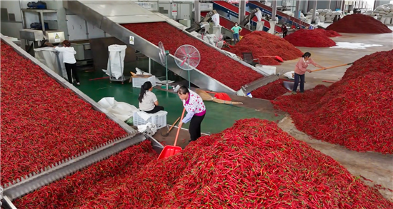 微信图片_2026-01-18_181646_903