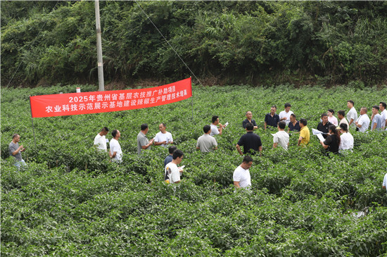 微信图片_2026-01-18_181657_409