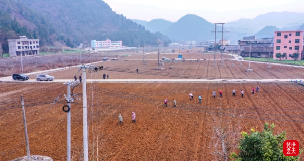 微信图片_2026-01-22_104722_991