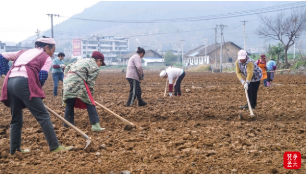 沿河：抢抓时节种蔬菜 轮作增收惠民生
