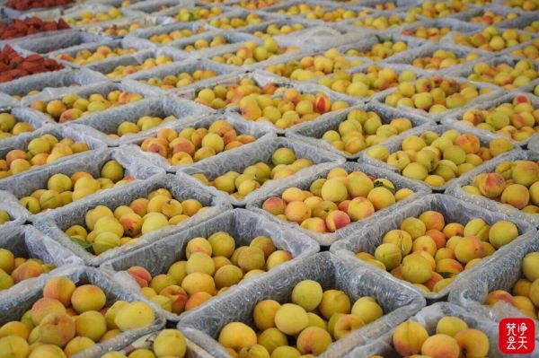 微信图片_2026-01-22_161743_634