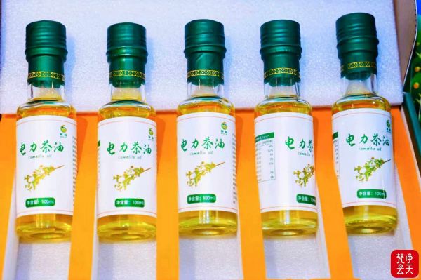 微信图片_2026-01-22_161751_823