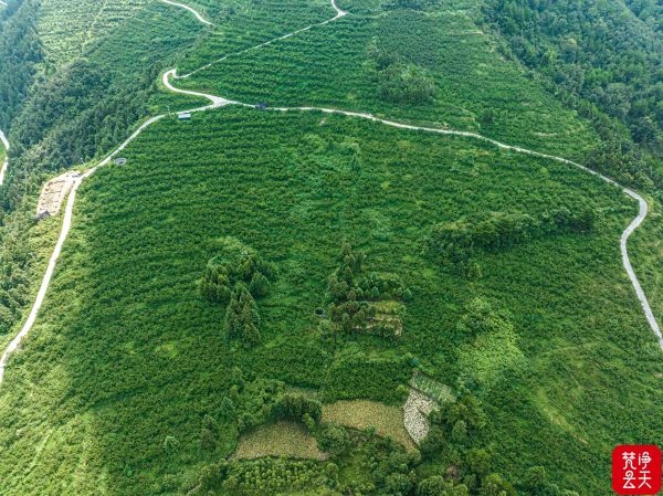 微信图片_2026-01-22_161808_929