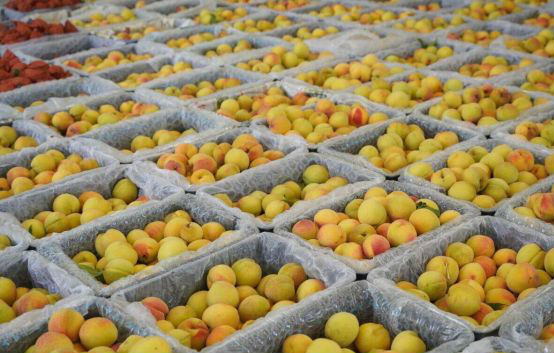 万山瓮背村:权益市场化激活“沉睡”资源