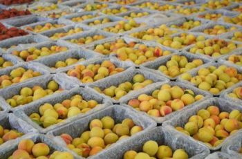 万山瓮背村：权益市场化激活“沉睡”资源