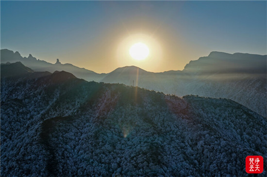 微信图片_2026-01-24_100501_695